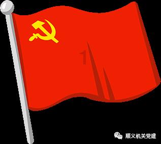 解锁景洪市大渡岗乡万亩茶园新玩法